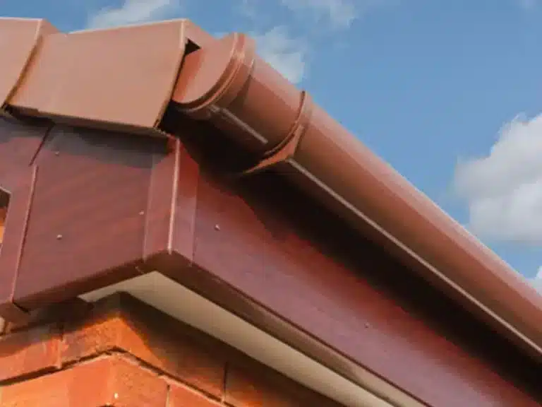 gutter-cleaning in orlando