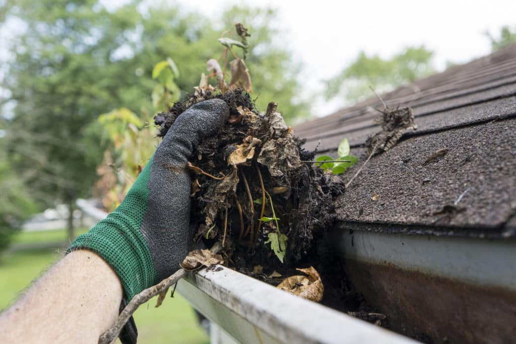 Gutter Clean Outs