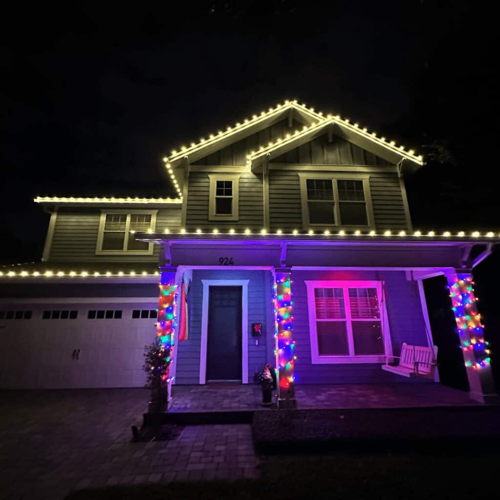 Christmas Light Installation