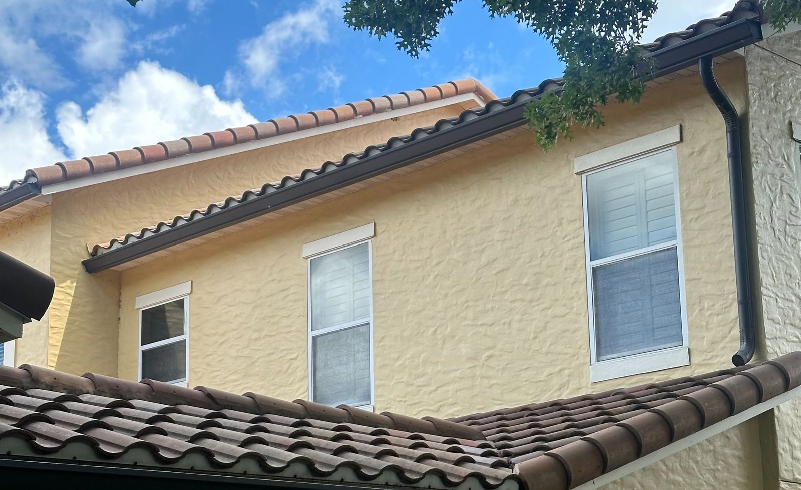 Gutter Cleaning Service in Doctor Phillips - FL crew removing wet debris from a long residential gutter line