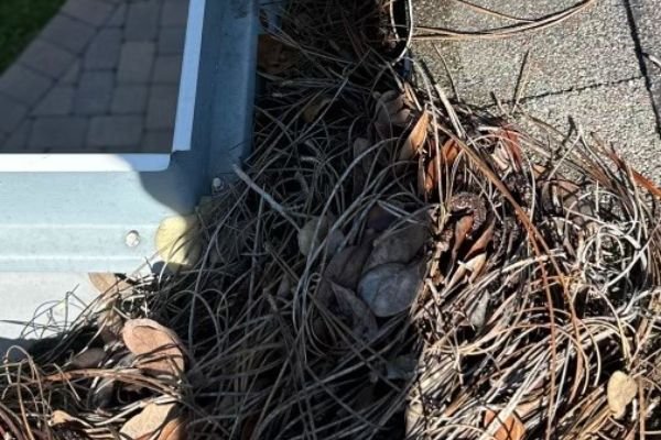 gutter-cleaning-service-company-near-me-in-orlando-fl-034