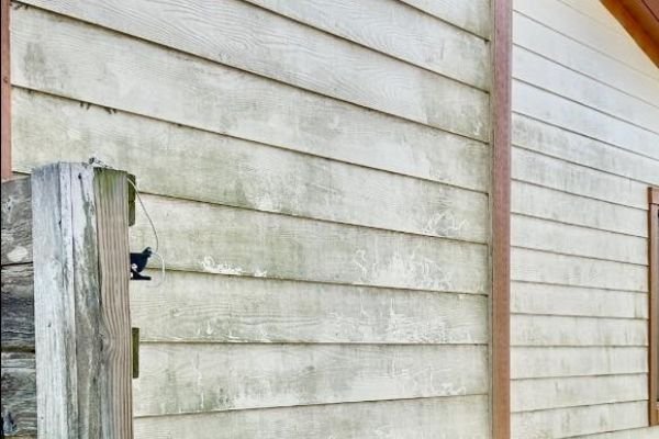 house-washing-service-company-near-me-in-orlando-fl-049
