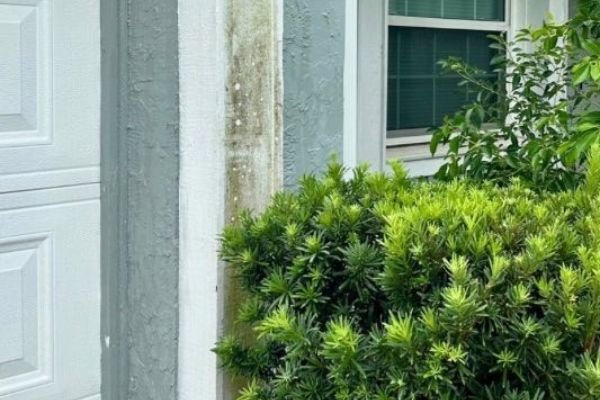 house-washing-service-company-near-me-in-orlando-fl-055