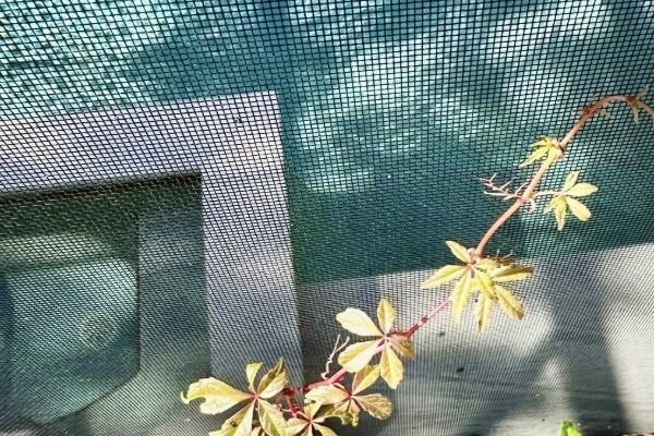 pool-screen-cleaning-service-company-near-me-in-orlando-fl-067