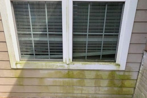 vinyl-siding-cleaning-house-washing-near-me