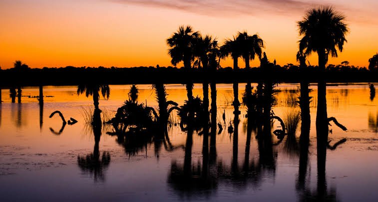 Orange County, FL